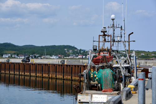 Eau,Marina,Été,Saison,MRC Côte-de-Gaspé,Région,Rivière-au-Renard,Jour,Temps
